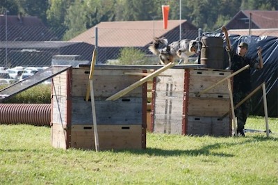 stacks-image-aa08d44.jpg